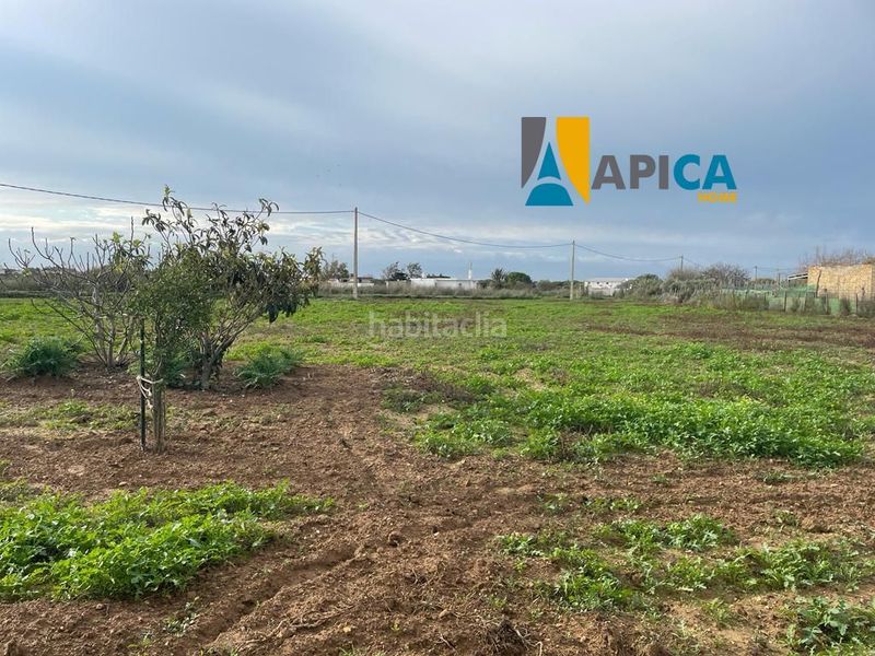 Foto b39f8c46-aa18-467d-80fc-1257be877886. Xalet a Los Franceses - La Vega Chiclana de la Frontera