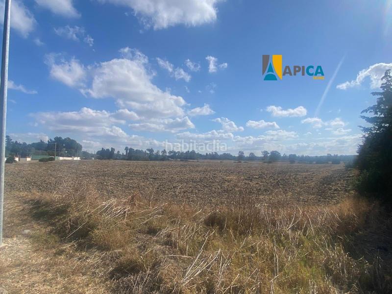Foto 52ec2f90-c1c2-41c2-9019-1b3176af8acc. Finca rústica a Las Lagunas - Campano Chiclana de la Frontera