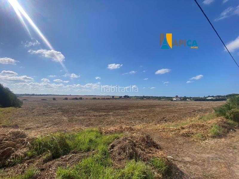 Foto 5fbe49e6-26aa-464f-8634-da3b540dd57c. Finca rústica a Las Lagunas - Campano Chiclana de la Frontera