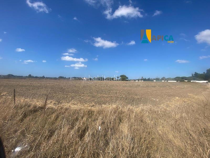 Foto 8d76fc0b-8ecb-48a4-b7f7-9088d17ef5e1. Finca rústica a Las Lagunas - Campano Chiclana de la Frontera