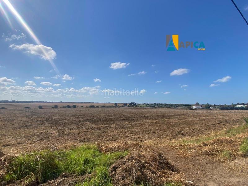 Foto 435f6da9-7203-4f51-bbb3-bc95548d4849. Finca rústica a Las Lagunas - Campano Chiclana de la Frontera
