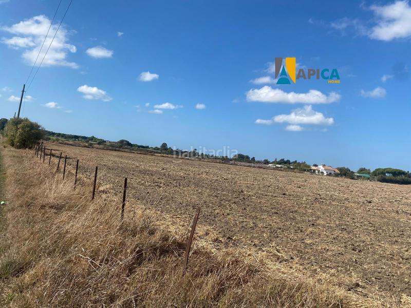 Foto 50a067d6-e6c0-43cc-9860-183c54d1d872. Finca rústica a Las Lagunas - Campano Chiclana de la Frontera