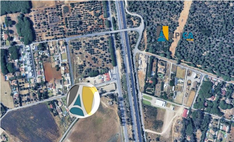 Foto 74ff159a-32c3-4403-bc62-ec34a7210814. Finca rústica la garantía que buscabas para tu inversión rústica en campano! en Chiclana de la Frontera