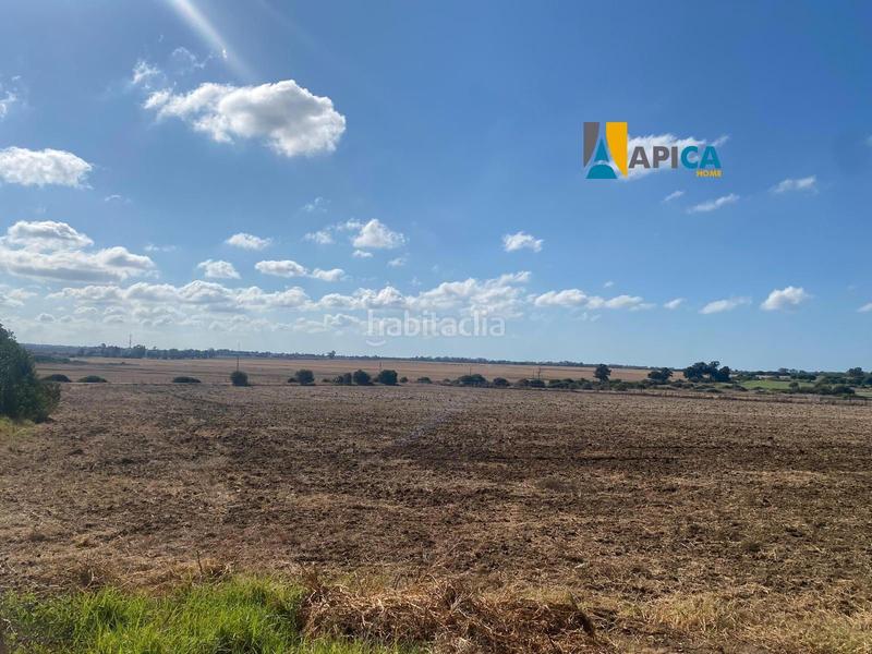 Foto b27cafe9-d3ad-4676-a188-2ebd09c39e67. Finca rústica a Las Lagunas - Campano Chiclana de la Frontera