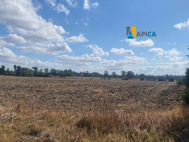 Foto b59d8567-375e-40a9-be72-7ab98a698c05. Finca rústica a Las Lagunas - Campano Chiclana de la Frontera