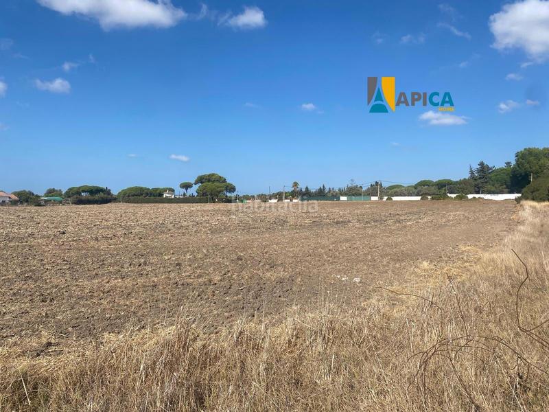 Foto ba03ec53-ba0c-4f2b-99b0-ee9138e33ee2. Finca rústica a Las Lagunas - Campano Chiclana de la Frontera