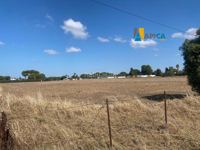 Foto e003e4e7-5a9d-46ef-9480-23cc5ed22c3b. Finca rústica a Las Lagunas - Campano Chiclana de la Frontera