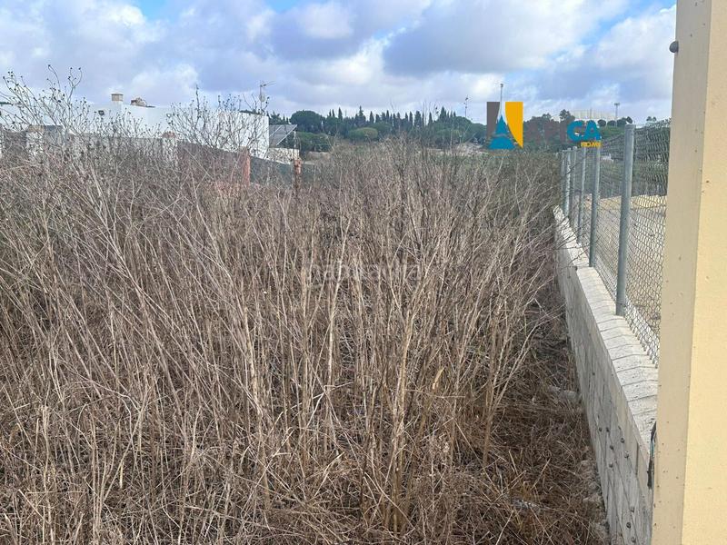 Foto 6344eb25-36a6-46b4-9d14-463d742bc0d6. Finca rústica parcela rústica segregada de 1793m2 en la zona de el soto en Barbate