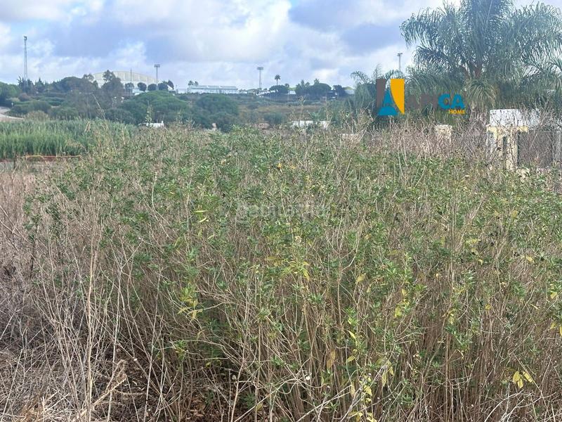 Foto d9063654-1e90-4aa2-8c05-043bc4cac34c. Finca rústica parcela rústica segregada de 1793m2 en la zona de el soto en Barbate