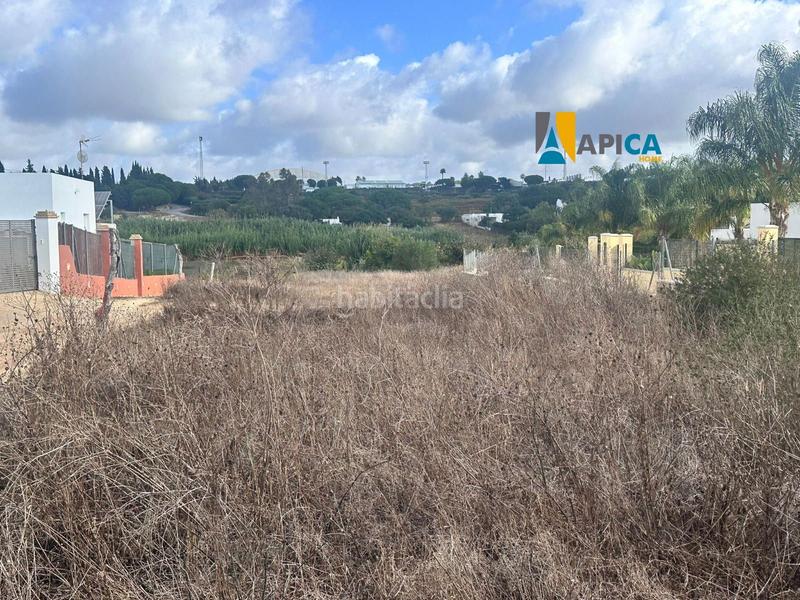 Foto ec3ac3e4-49dc-4273-8c40-329a3c6bec65. Finca rústica parcela rústica segregada de 1793m2 en la zona de el soto en Barbate