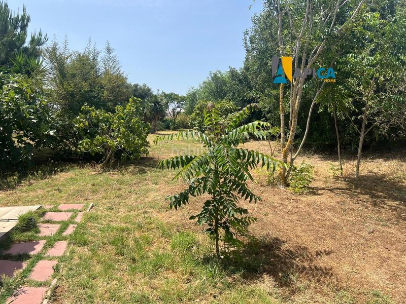 Foto 30f33799-6a35-449f-99cc-75f4c01b4ae5. Maison dans Barrio Nuevo Conil de la Frontera