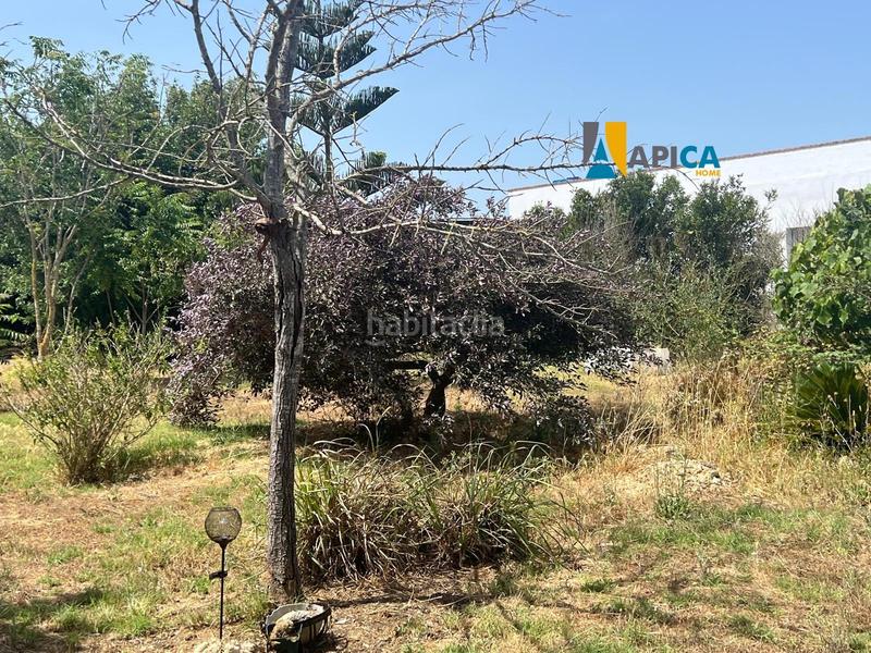 Foto 47e962e8-f755-474e-8256-49e0cf36d0fa. Maison dans Barrio Nuevo Conil de la Frontera