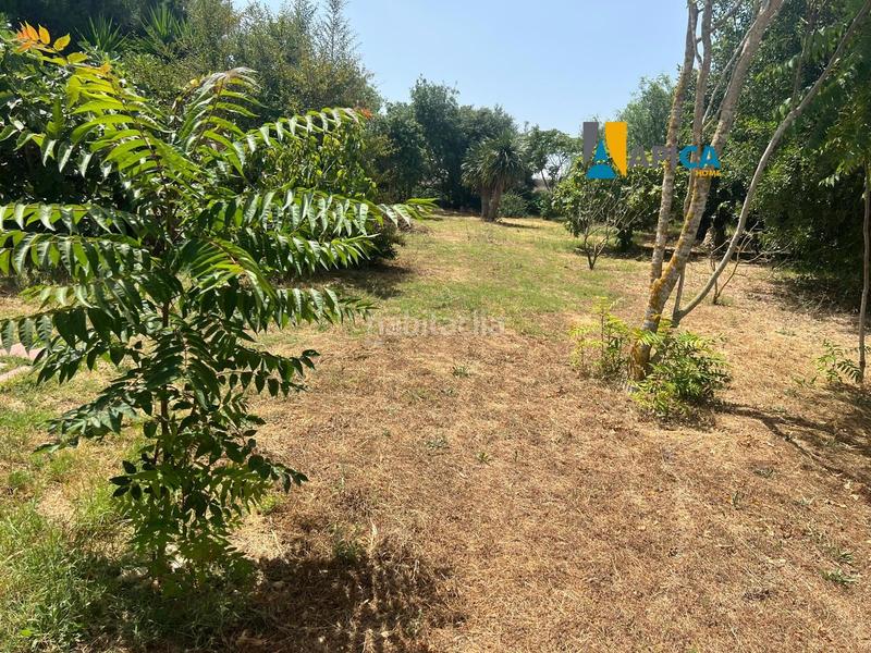 Foto 78ff24d7-f064-48f5-b2c2-22b419a9772a. Maison dans Barrio Nuevo Conil de la Frontera