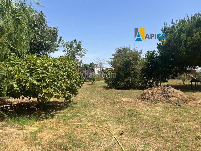 Foto 87332052-6158-4dca-8baa-cccc14c1e533. Maison dans Barrio Nuevo Conil de la Frontera