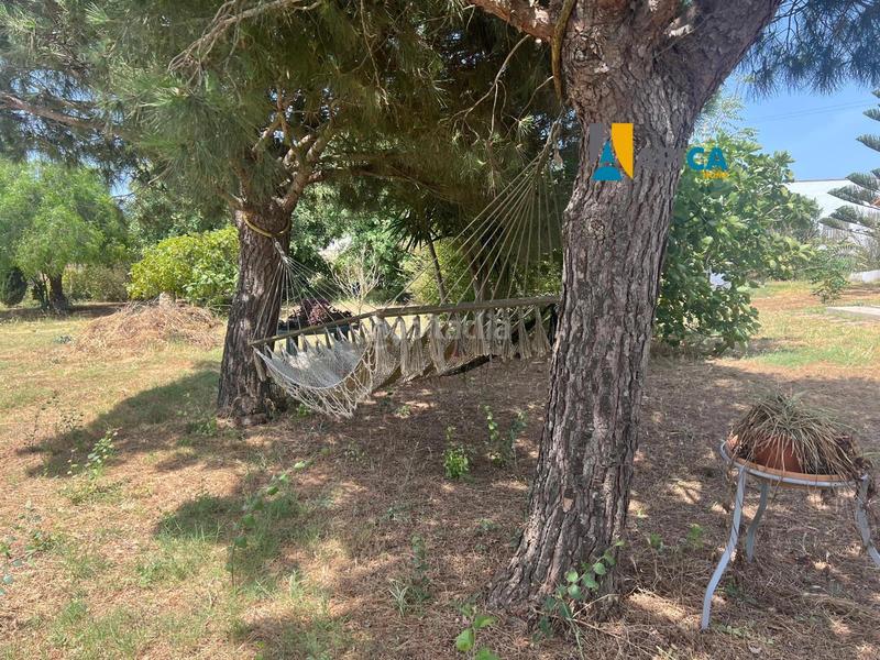 Foto b7dc34f9-4221-46db-bc7c-59ea9129736d. Maison dans Barrio Nuevo Conil de la Frontera