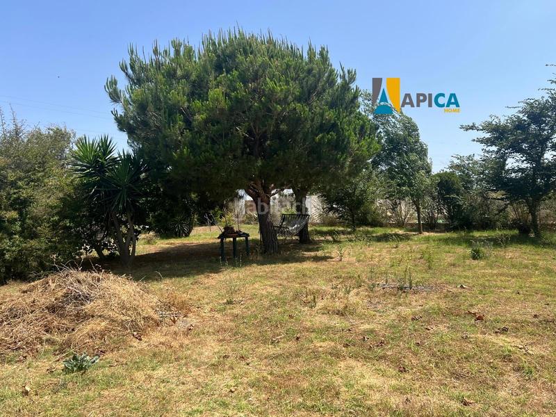 Foto c9312c0d-3580-42a8-80bc-a5734146986e. Maison dans Barrio Nuevo Conil de la Frontera