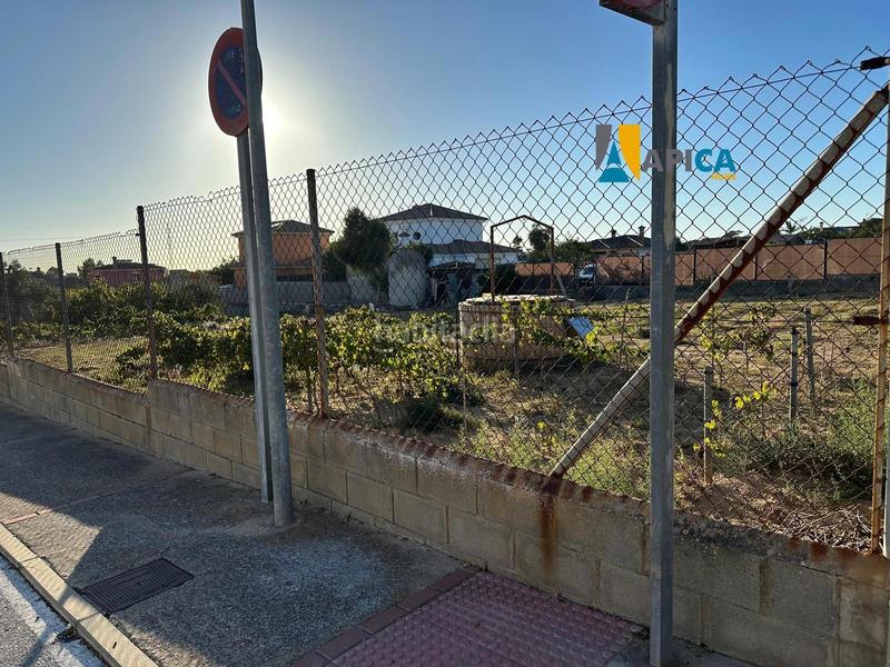 Foto 560941ff-362a-4776-81ba-d5f70b615e9d. Finca rústica a Cuatro Pinos - El Carmen Puerto de Santa María (El)
