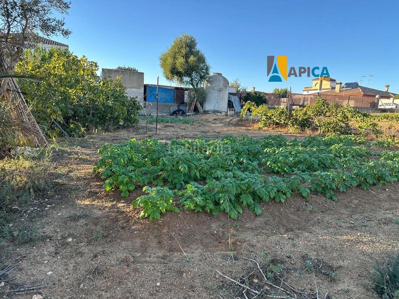 Foto 88abba16-456c-4b57-bed7-04265b5f6f2e. Finca rústica a Cuatro Pinos - El Carmen Puerto de Santa María (El)