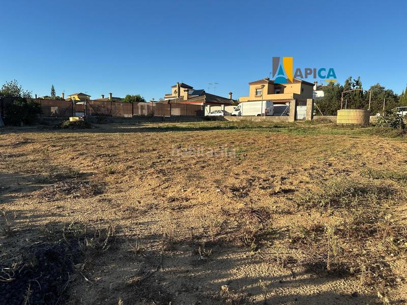 Foto a3407c44-f84a-4080-8c14-94e17349fa43. Finca rústica a Cuatro Pinos - El Carmen Puerto de Santa María (El)