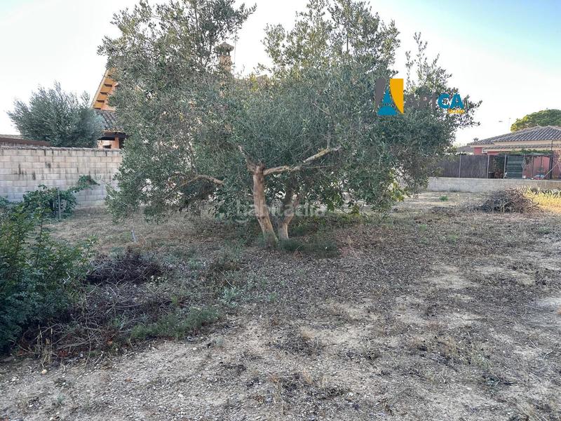 Foto ae919be9-7c9a-4592-91be-7e3b3ed6de07. Finca rústica a Cuatro Pinos - El Carmen Puerto de Santa María (El)