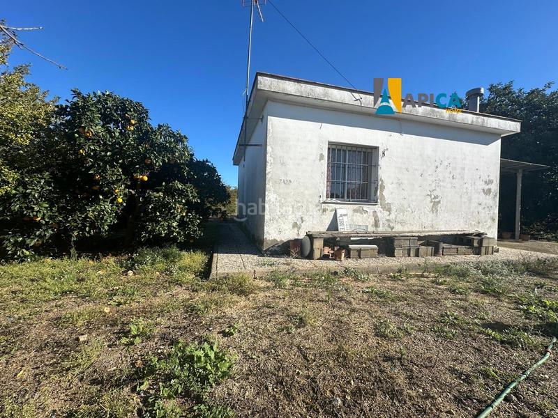 Foto e9e43205-3be5-4a38-bc00-02e0458a8d8a. Finca rústica a Cuatro Pinos - El Carmen Puerto de Santa María (El)