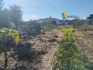 Xalet a Las Lagunas - Campano. Casa de campo en venta en chiclana, zona tejarejo