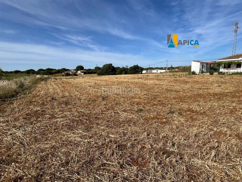 Foto 39655d72-d49f-4bdc-85e4-6e690b6e86d8. Finca rústica a Roche Conil de la Frontera