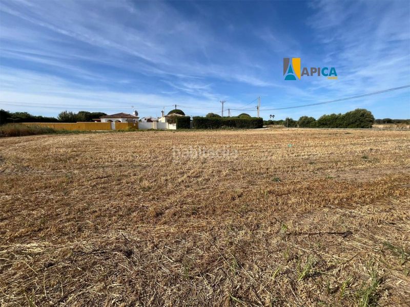 Foto 5262100b-2ad6-4ca9-b5c7-44aa626eb96f. Finca rústica a Roche Conil de la Frontera