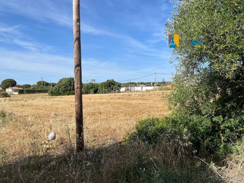 Foto 57f10237-8cd7-412b-847a-39b9e1dea670. Finca rústica a Roche Conil de la Frontera