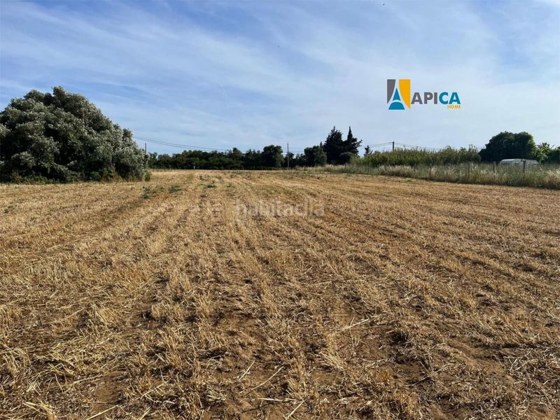 Foto 6044de6e-0aac-4726-ba7d-9605e133bec6. Finca rústica a Roche Conil de la Frontera