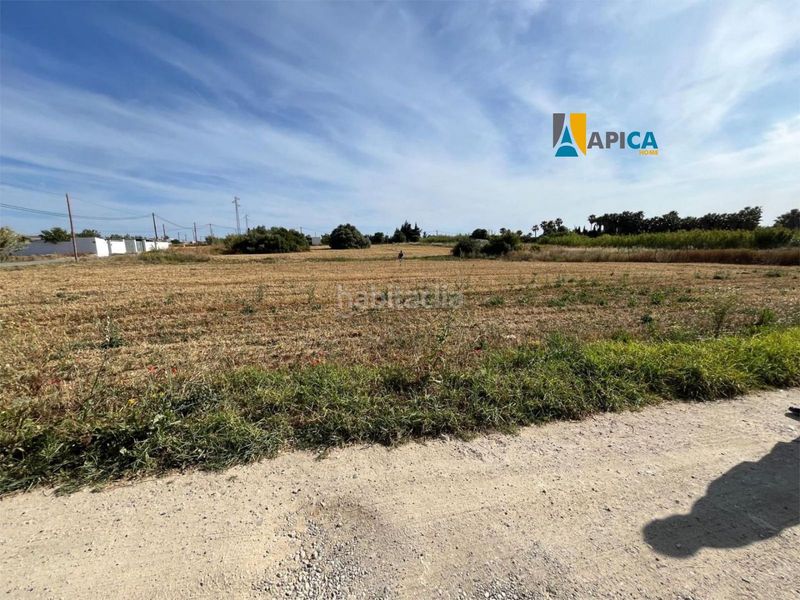 Foto ab6f75d4-face-408e-95c3-48e1e26c98fc. Finca rústica a Roche Conil de la Frontera