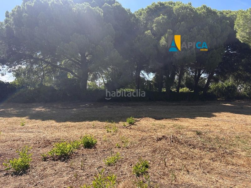 Foto 7b6e293a-fc40-49d1-ac5c-3e0a76a674c7. Finca rústica a La Banda - Campo de Fútbol Chiclana de la Frontera