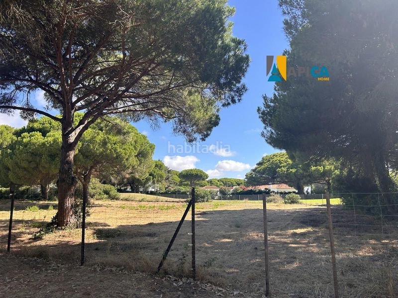 Foto 82cb4792-ef31-4af6-9300-6e7fb907c560. Finca rústica a La Banda - Campo de Fútbol Chiclana de la Frontera