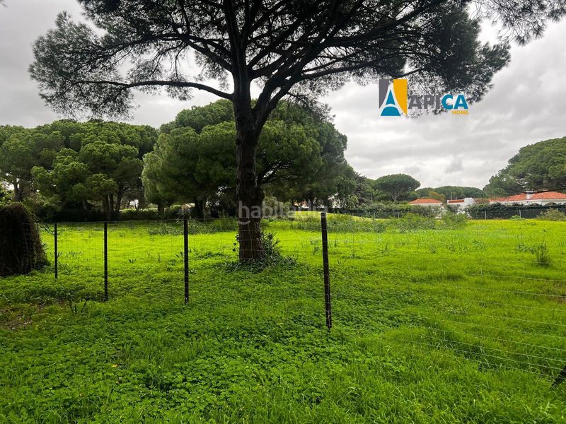 Foto 9a6a6cab-59d6-479d-b71d-d696d5c9f0b7. Finca rústica a La Banda - Campo de Fútbol Chiclana de la Frontera