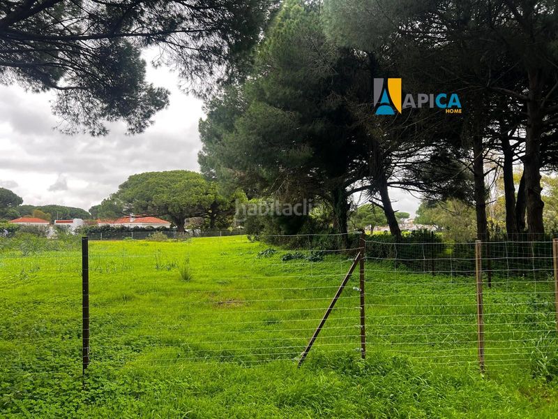 Foto c532b02f-01f5-4790-91c5-fad89fe6d0d7. Finca rústica a La Banda - Campo de Fútbol Chiclana de la Frontera