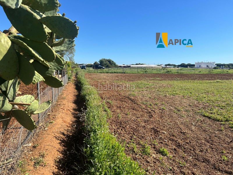 Foto 0fe21d2e-8aa0-49da-b04f-95d858a00a4f. Finca rústica a Roche Conil de la Frontera
