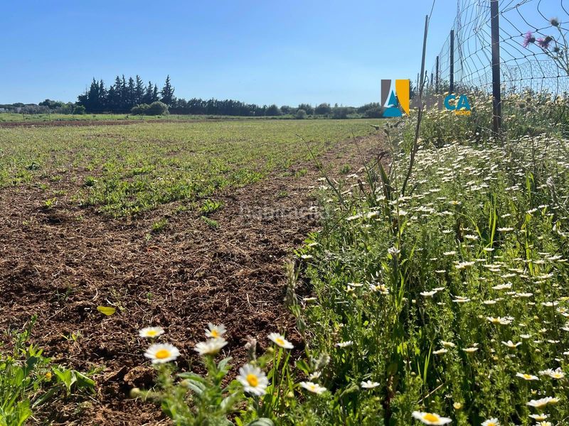 Foto 2fc50cb8-5540-4742-9d62-e15f55b9b05c. Finca rústica a Roche Conil de la Frontera