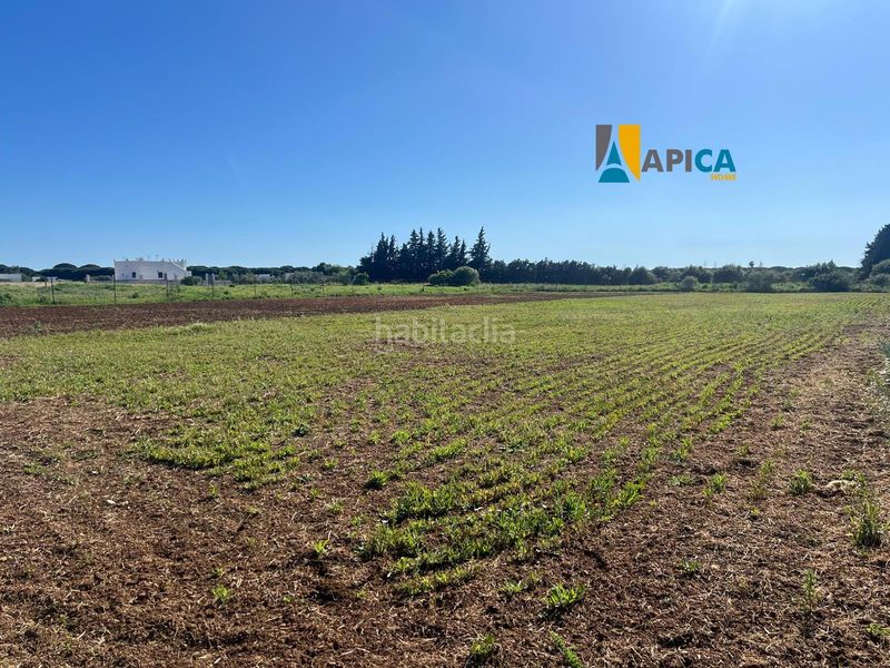 Foto 63c32af1-9e4f-4cef-9a27-95fb829ef095. Finca rústica a Roche Conil de la Frontera