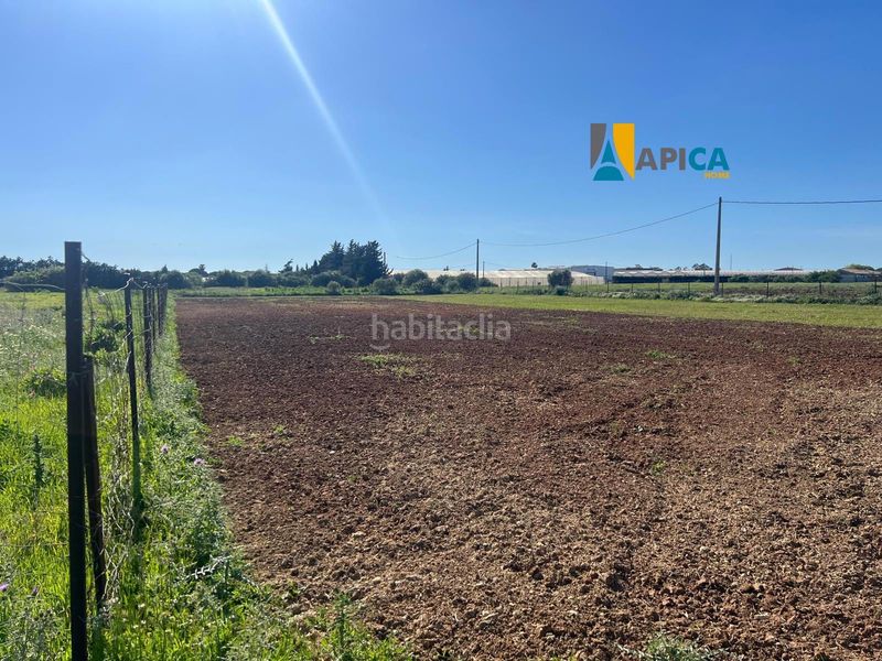 Foto 731436f4-7043-4bfe-9813-214eaa335126. Finca rústica a Roche Conil de la Frontera