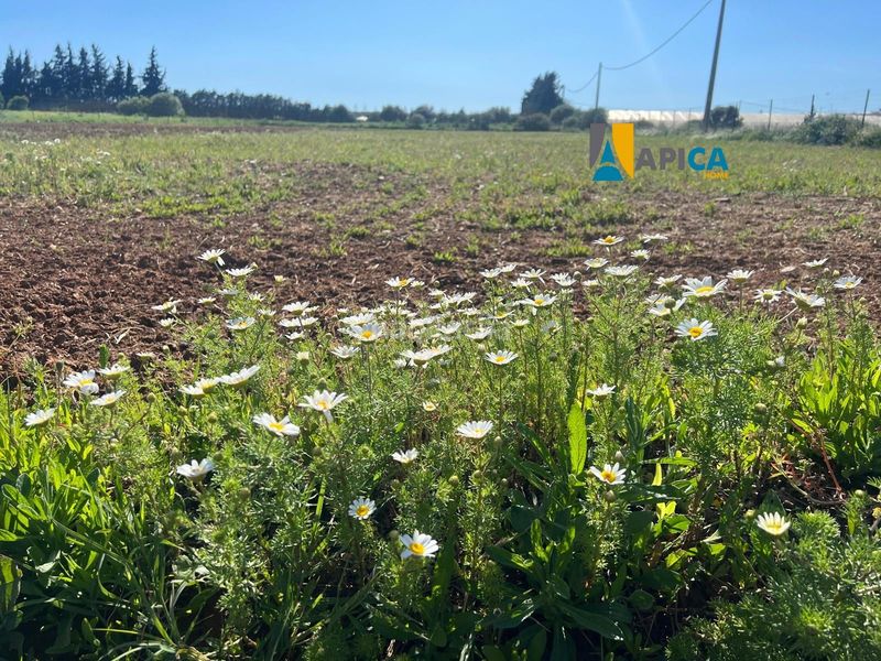 Foto a526410f-6e77-44d4-9a6f-859e9dffff0c. Finca rústica a Roche Conil de la Frontera