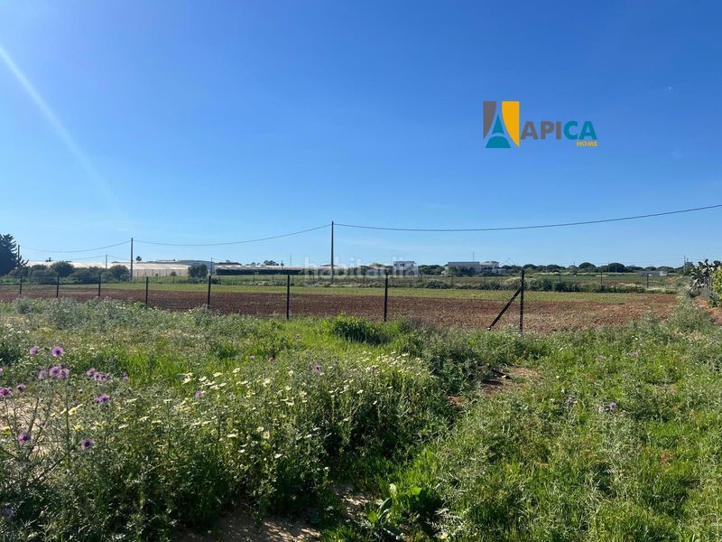 Foto c525149a-051c-4500-9e47-975857116f36. Finca rústica a Roche Conil de la Frontera