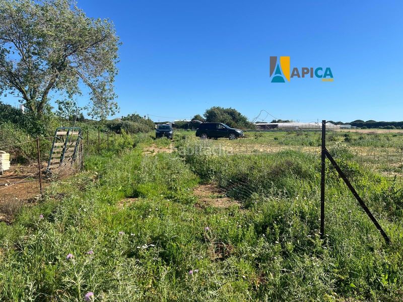 Foto d8863964-6ba1-4790-b609-9ba468223607. Finca rústica a Roche Conil de la Frontera