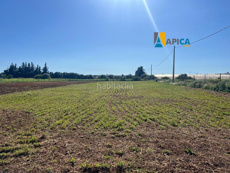 Foto e575ac97-aa6a-4552-9509-4c8c243f1810. Finca rústica a Roche Conil de la Frontera