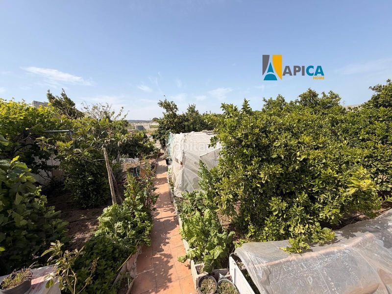 Foto f1944634-db00-445b-a406-c10738b78606. Xalet amb piscina a Barbate Barbate