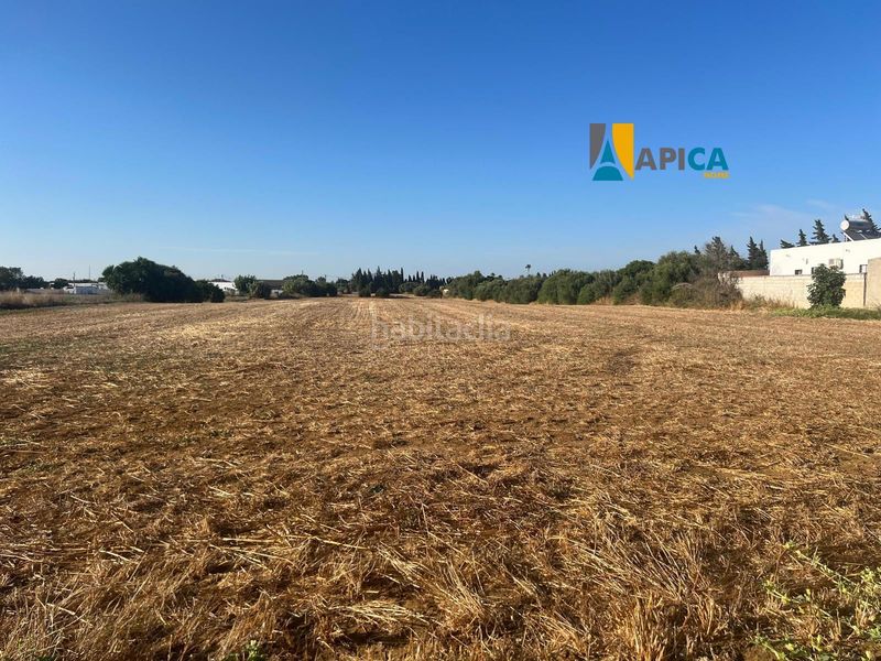 Foto 0a54661d-0cde-4e52-9887-73e4e66a3be8. Xalet amb aparcament a Barrio Nuevo Conil de la Frontera