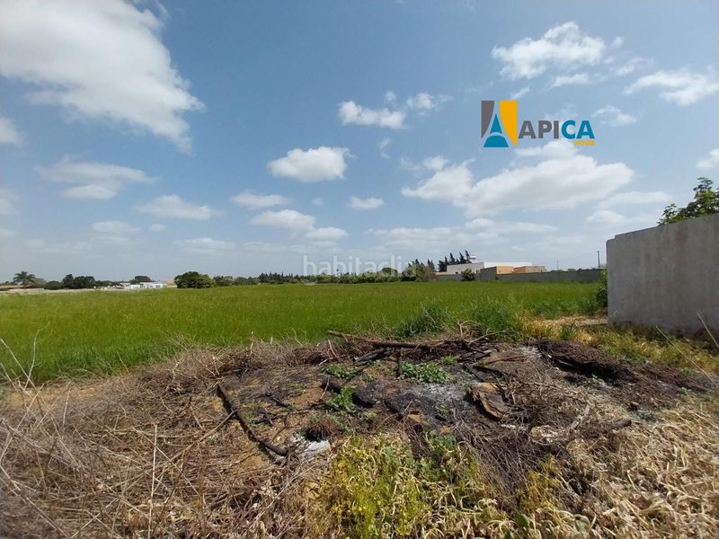 Foto 50dd638b-1de6-4ab3-b47c-bd6c42f9d346. Xalet amb aparcament a Barrio Nuevo Conil de la Frontera
