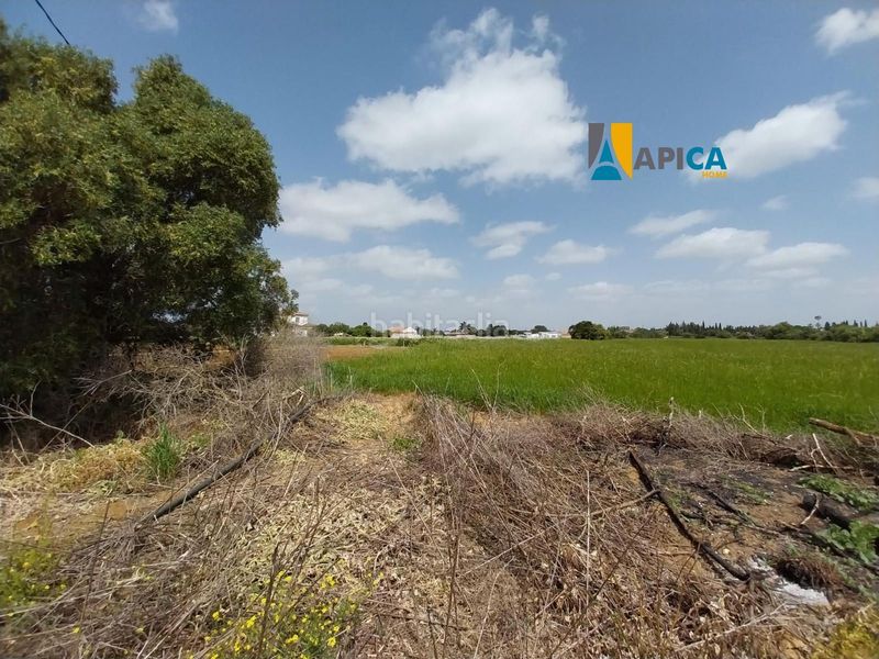 Foto 6cfbcaed-b96f-4840-9626-31d7bb893b0f. Xalet amb aparcament a Barrio Nuevo Conil de la Frontera