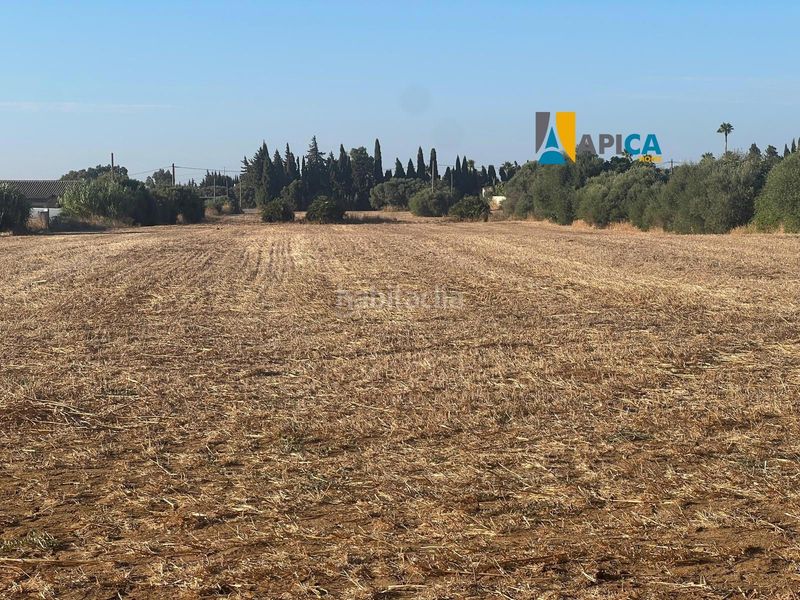 Foto f72c8483-1422-4e72-a1fc-4841d45df316. Xalet amb aparcament a Barrio Nuevo Conil de la Frontera