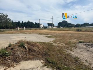 Finca rústica a Pelagatos - Pago del Humo. Amplia parcela rústica segregada en el pago del humo