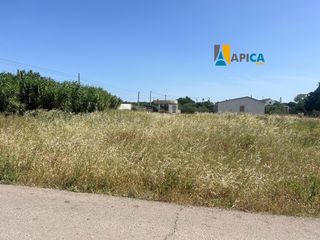 Rural plot in Barrio Nuevo. Gran oportunidad! parcela rústica de 2.727 m en la florida, coni